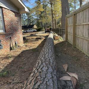 Baker’s Tree Service