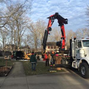 Fallin Timbers Tree Removal