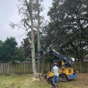 Bucket Man Tree Services