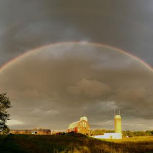 Greg Hewitt Tree Services