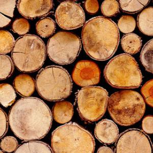 T.O. Mahaffey Tree & Timber Company