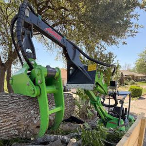 Local Land & Tree | Tree Trimming & Removal in Sanford, FL
