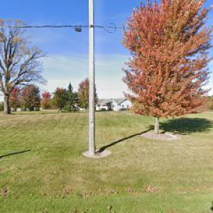 Paul's Stump Removal