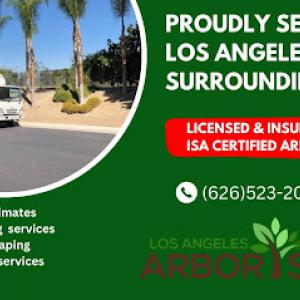 Maya Tree Service