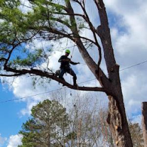 JG Tree Service