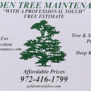 Golden Tree Maintenance