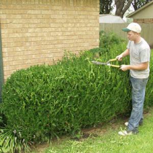 Lovelace Landscape & Tree Service