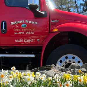 McKinney Brothers Tree Service
