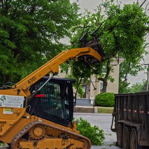 Harrison Tree Service