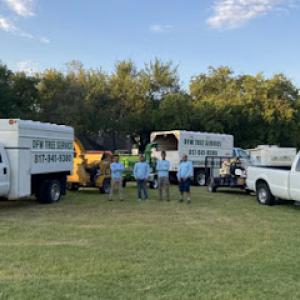 DFW Tree Solution