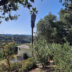 ACE Certified Tree Care