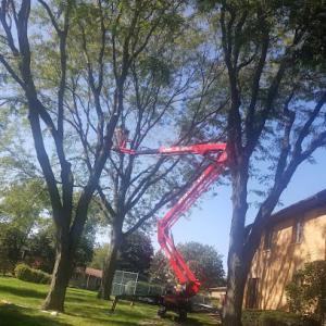 Green Extraction Technologies