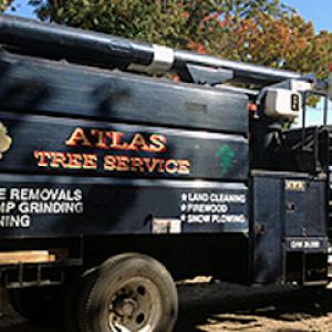 Atlas Tree Service