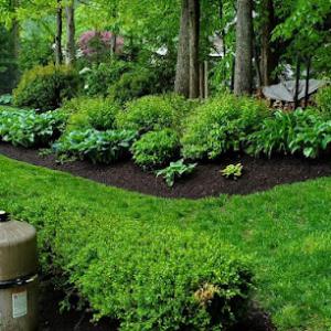 Mario Pansarella & Sons Landscaping