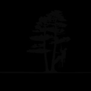 Spiders Tree Care Service of Athens