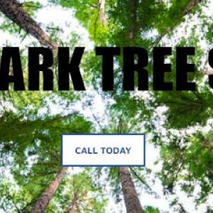 Tinley Park Tree Service