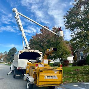 Reilly Tree & Landscape