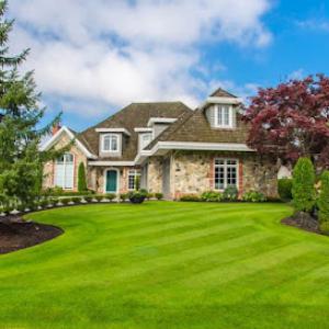 New England Lawn Maintenance