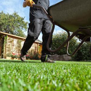 Sandoval Landscaping Services