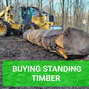 Down 2 Earth Custom Logging