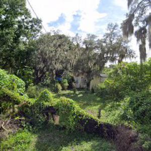 Richard Foor tree service