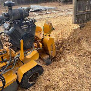 Stump Removal & Daughters