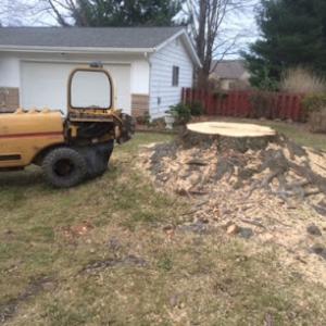 Bradford Stump Grinding
