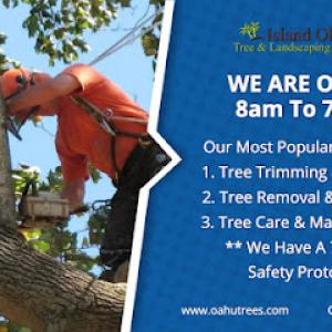 Island Ohana Tree & Landscaping Services