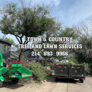 Town & Country Tree & Lawn Services
