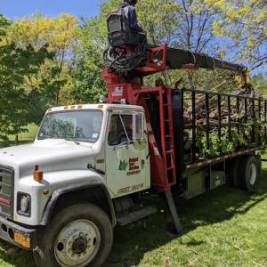 Budget Tree Services