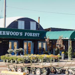 Sherwood Forest Nursery