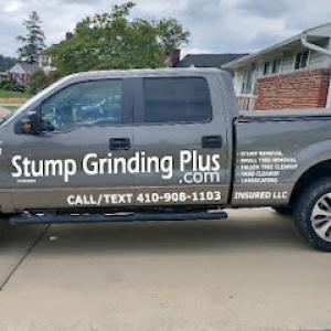 Stump Grinding Plus