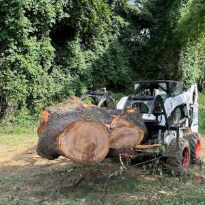 MD Pro Tree Services