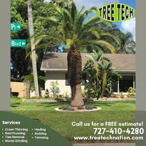 Tree Tech