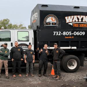 Wayne's Tree Service