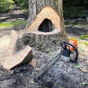 Francis Tree Service LLC - Warren NJ