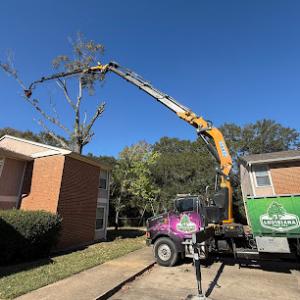 Louisiana Tree Pro