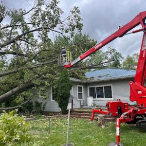 Woodmans Tree Service