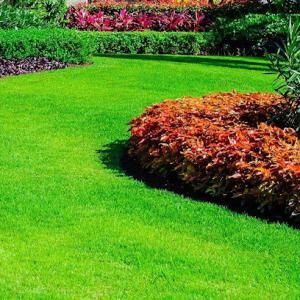 Staten Island Lawn Care & Landscaping