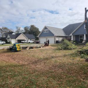 Canopycowboys Tree & Lawn Service