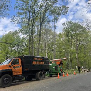 MC Tree Service