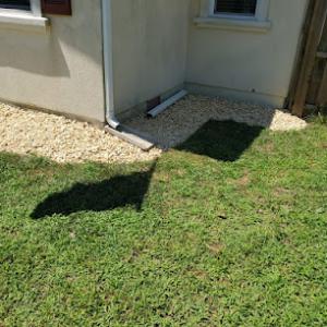 Raptors Tree Service & Landscaping Service