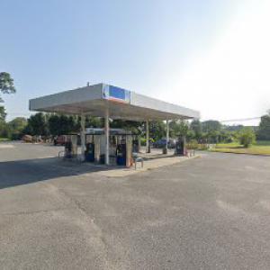 Platinum Quality Tree Experts