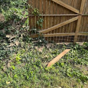 B&B Construction & Tree Service