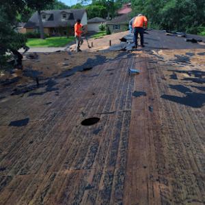 Tres Coronas Enterprises