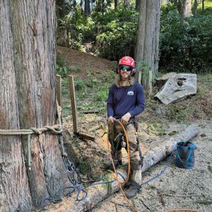 PDX Tree Service