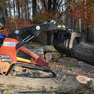 Lazo Tree Service