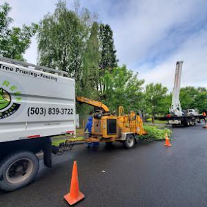 Evergreen Landscape Care & Tree Services