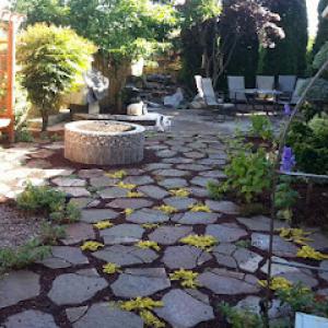 North West Landscape Care & Tree Service