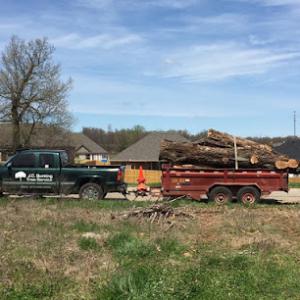 J.C. Bunting Tree Service